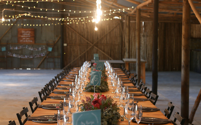 captured photography, gansbaai, hermanus, caledon photographer captured photography, gansbaai, hermanus, caledon photographer