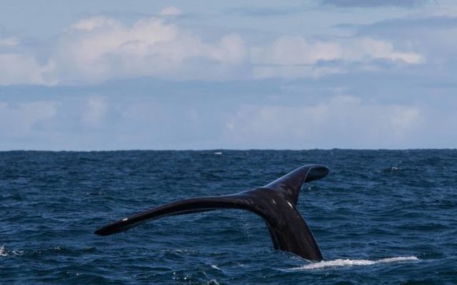 115A1206_580x406_1511593412