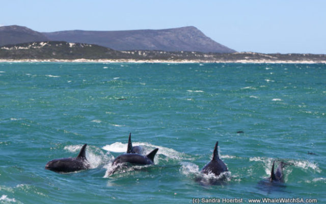 IMG_4366_580x387_1511593413