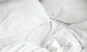 Why you should keep your sheets clean.