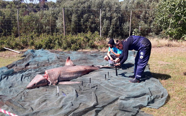 IMG_20171127_WA0005_1511944474 IMG_20171127_WA0005_1511944474