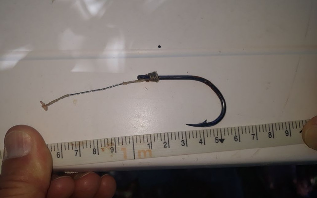 IMG_20171128_WA0004_1511944471 IMG_20171128_WA0004_1511944471