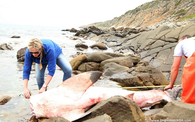 infanta2_001_1511944475 infanta2_001_1511944475