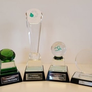 Western Cape 2017 Greenest Municipality Competition.