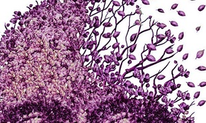 How not to get dementia