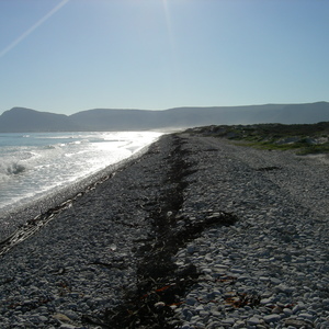 Coastal area close to Pearly Beach
