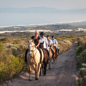 web_grootbos_experience_horse_riding_reserve_01_1512975822