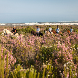 web_grootbos_experience_horse_riding_reserve_04_1512975823