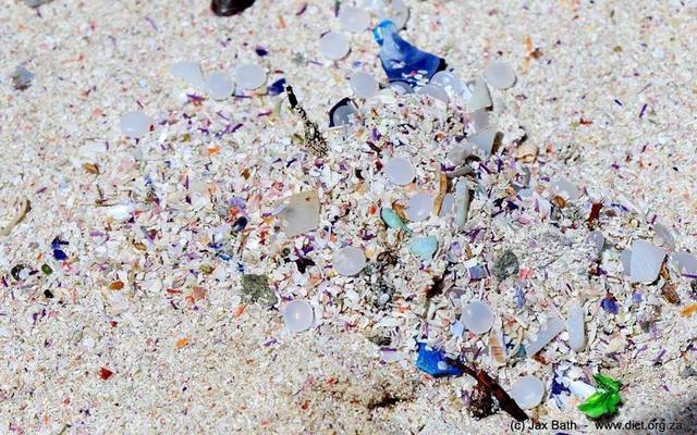 24862550_10155932661627520_5739788392562762162_n_1513077304