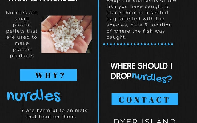 Nurdle_poster_2__1513077305