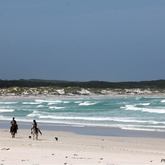 Horse Trails #gansbaaipearlybeachhorsetrails