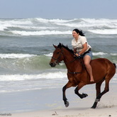 #gansbaaipearlybeachhorsetrails