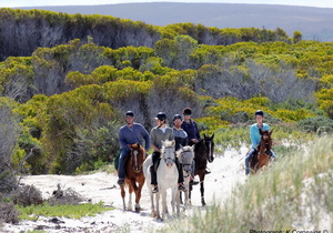 Memories are made of this...