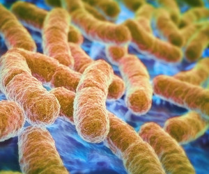 How healthy is your gut bacteria?