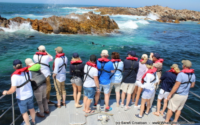 1_IMG_0347_1515745340