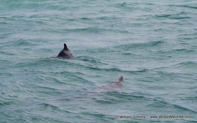 1_IMG_1436_001_1516352417