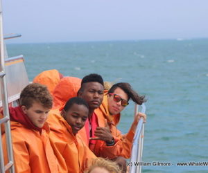 Marine Big 5 Tours  - 18 January 2018