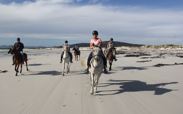 Pearly Beach Horse Trails
