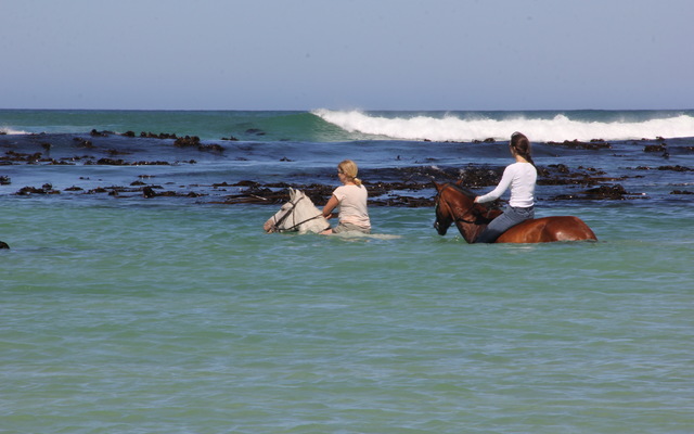 Pearly Beach Horse Trails