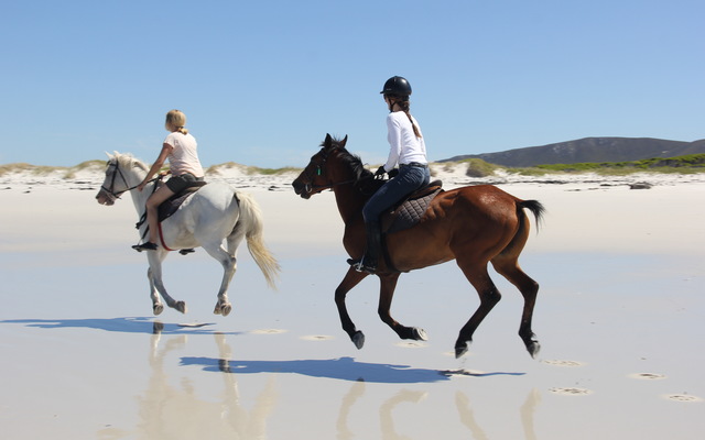 Pearly Beach Horse Trails