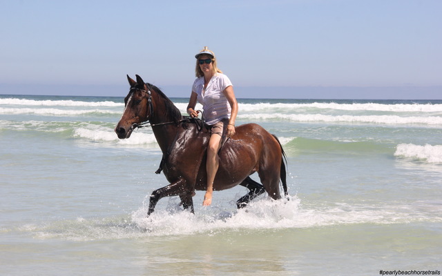 Pearly Beach Horse Trails