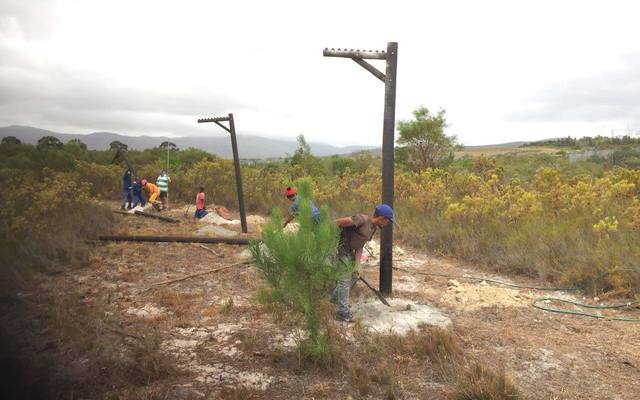 panthera3_1516614155