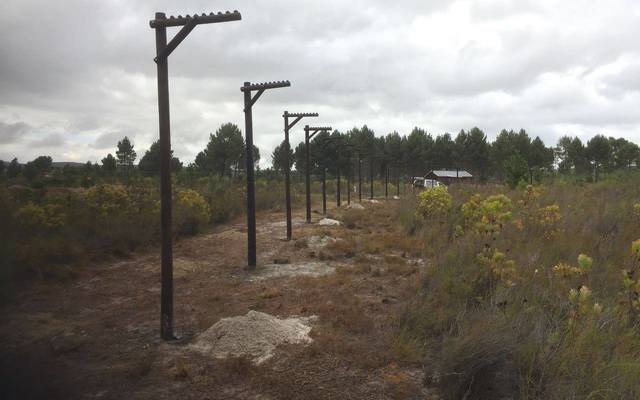 panthera4_1516614156