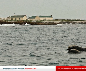 The Houses of Dyer Island