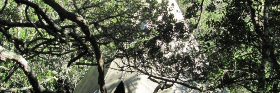 Tipi, Forest Camp, Platbos