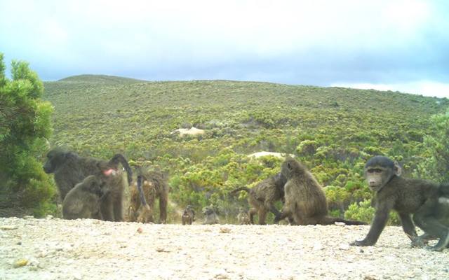 26993261_1900677249952199_3834210232433788324_n_1516796144