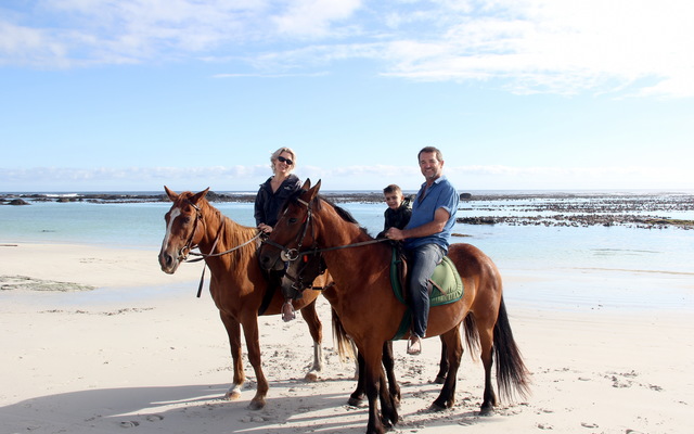 Exclusive Champagne Trail