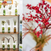 Fynbos Display - Gansbaai Tourism Bureau - Xplorio™ Gansbaai 