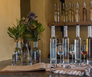 5 Interesting facts about Grappa