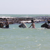 #horseridespearlybeach