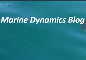 Daily Blog 15 February 2018