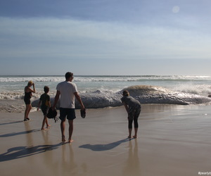 Cape of “All Weather”...