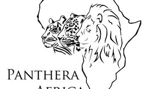 A Lion's nose is absolutely incredible!