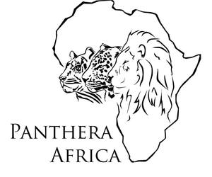 A Lion's nose is absolutely incredible!