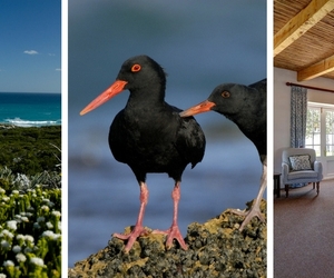 De Hoop Bucket List For 2018