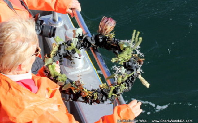 birkenhead_3_580x387_1519642290