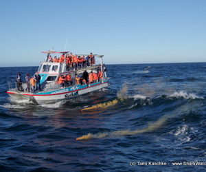 HMS Birkenhead Memorial 2018