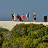 Summer_Dunes_1520428103