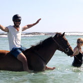 #gansbaaipearlybeachhorsetrails