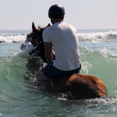 #gansbaaipearlybeachhorsetrails