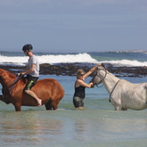 #gansbaaipearlybeachhorsetrails