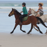 #gansbaaipearlybeachhorsetrails