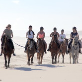 #gansbaaipearlybeachhorsetrails