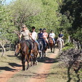 #gansbaaipearlybeachhorsetrails