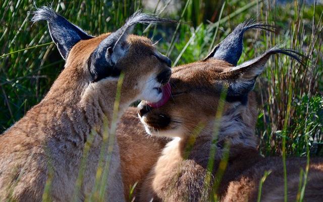 29249404_1712208582197393_2654627145724198912_n_1521190805