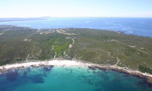 Gansbaai: Donate now to get recreational diving rights back!